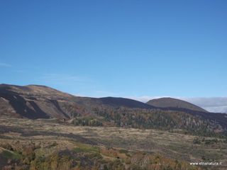 nte Zappinazzo-04-11-2012 11-01-23